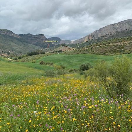 Penzion La Casita Blanca- La Almona Chica El Chorro Exteriér fotografie