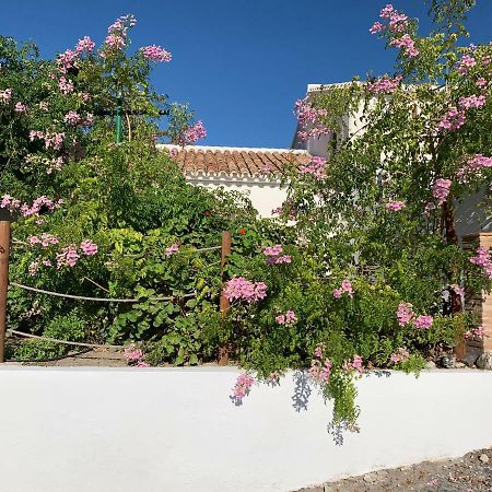 Penzion La Casita Blanca- La Almona Chica El Chorro Exteriér fotografie