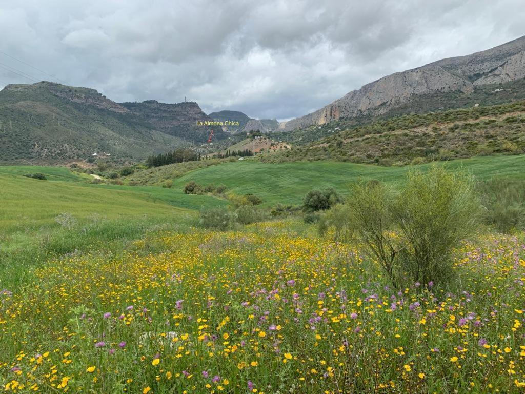 Penzion La Casita Blanca- La Almona Chica El Chorro Exteriér fotografie