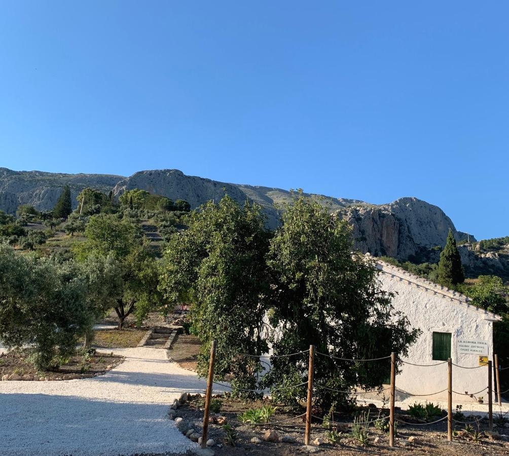 Penzion La Casita Blanca- La Almona Chica El Chorro Exteriér fotografie