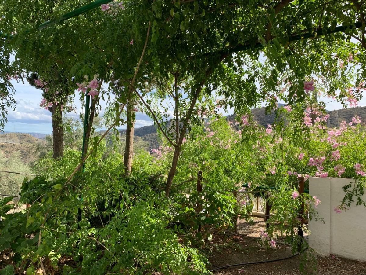 Penzion La Casita Blanca- La Almona Chica El Chorro Exteriér fotografie