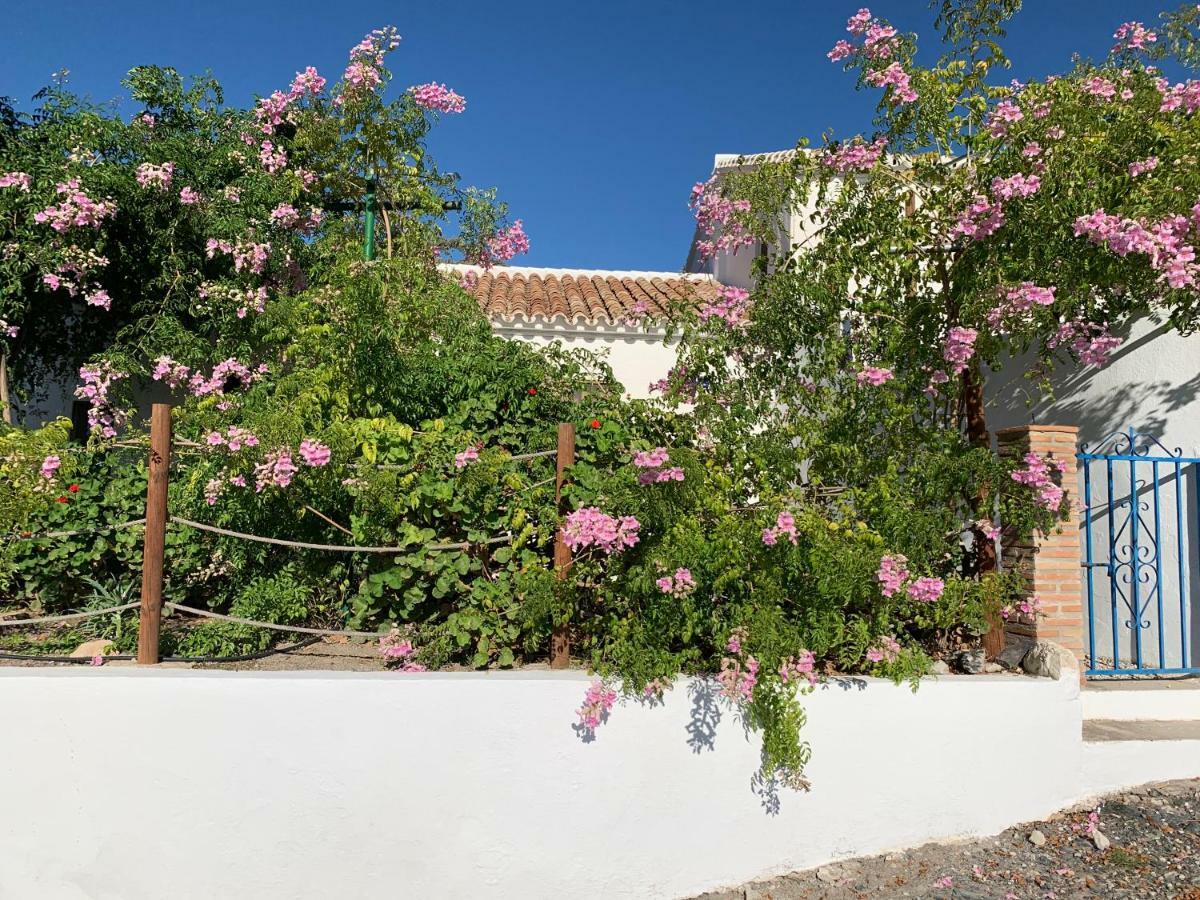 Penzion La Casita Blanca- La Almona Chica El Chorro Exteriér fotografie