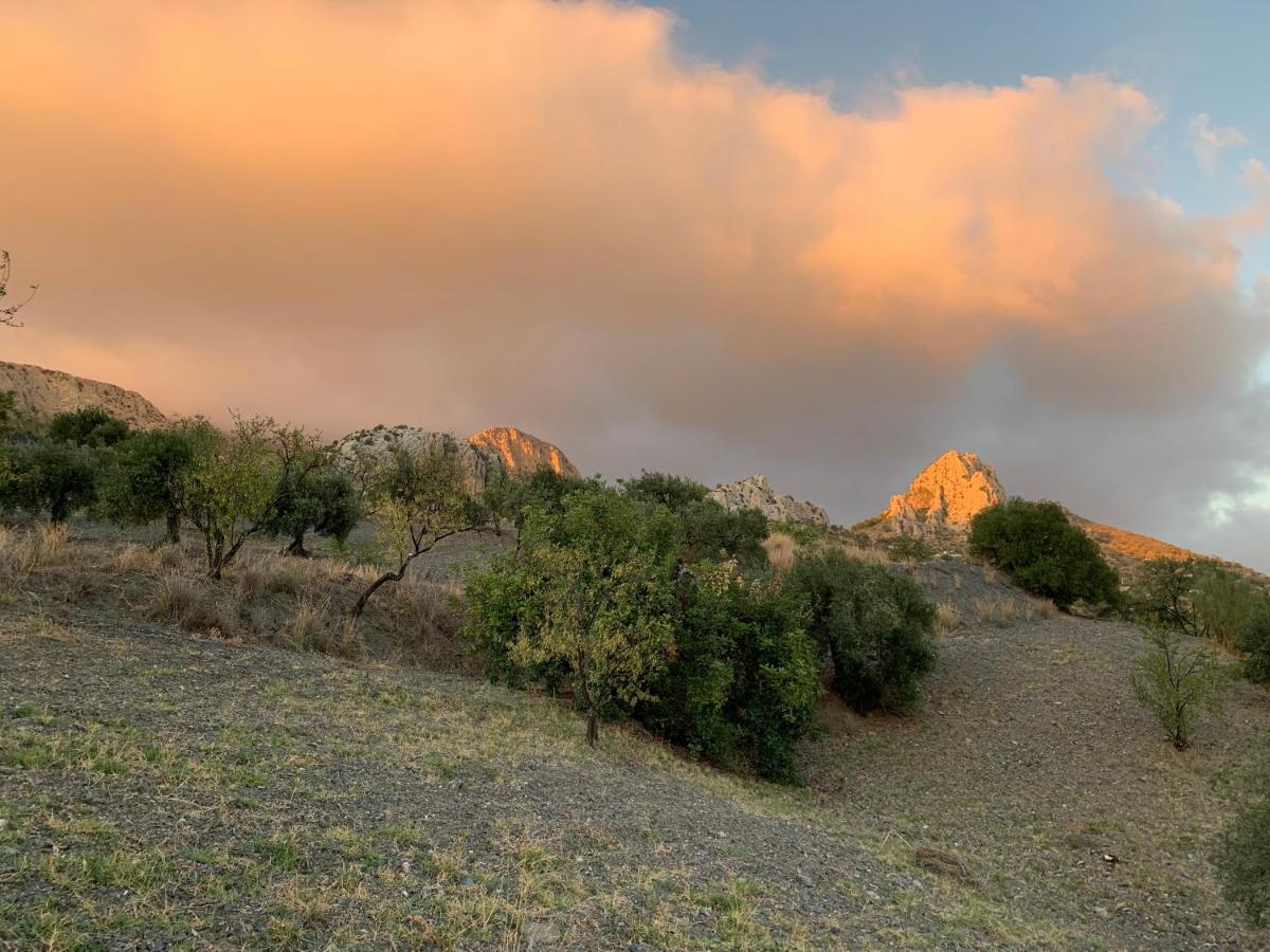 Penzion La Casita Blanca- La Almona Chica El Chorro Exteriér fotografie